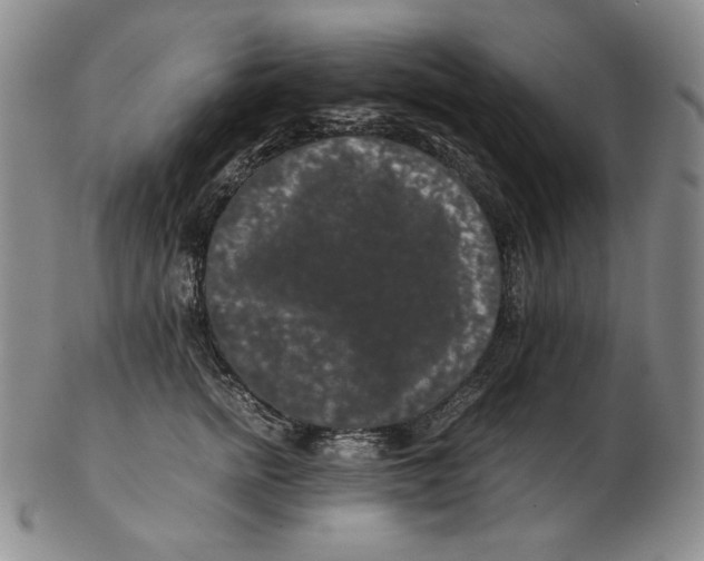 X0000102340758200808221630