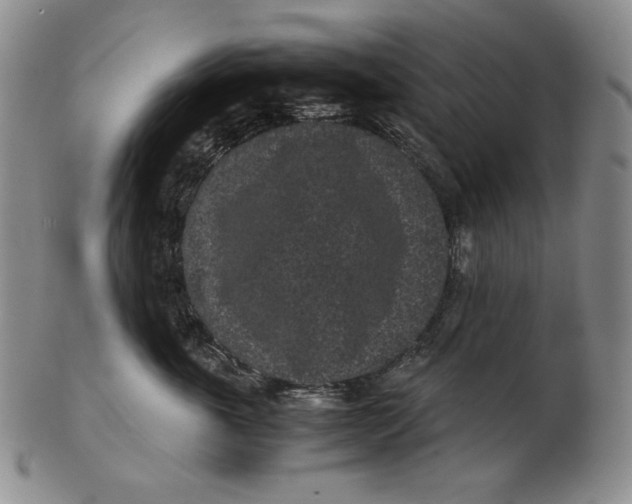 X0000102340763200808221630