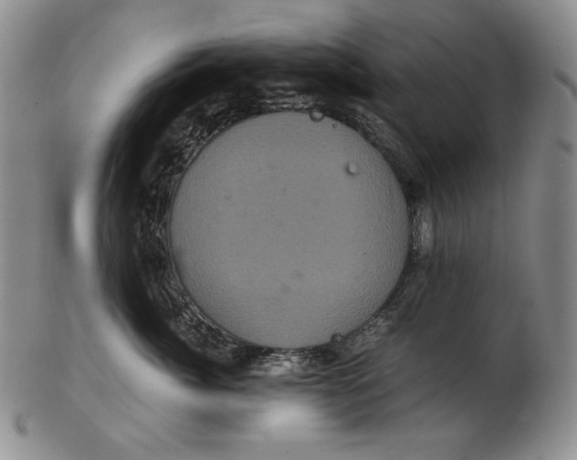 X0000102340764200808221630