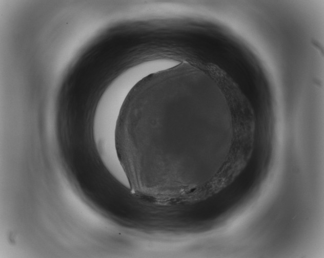 X0000102340766200808221631