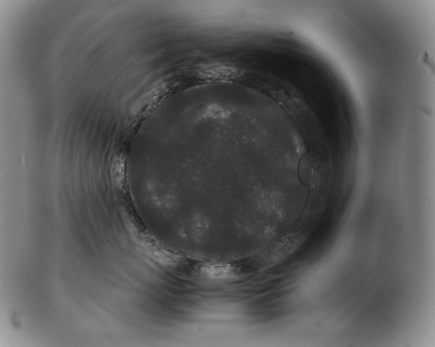 X0000102340767200808221631