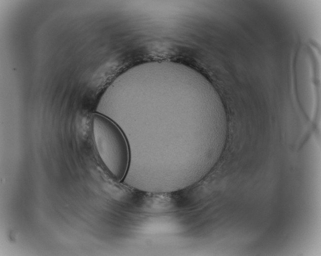 X0000102340768200808221631