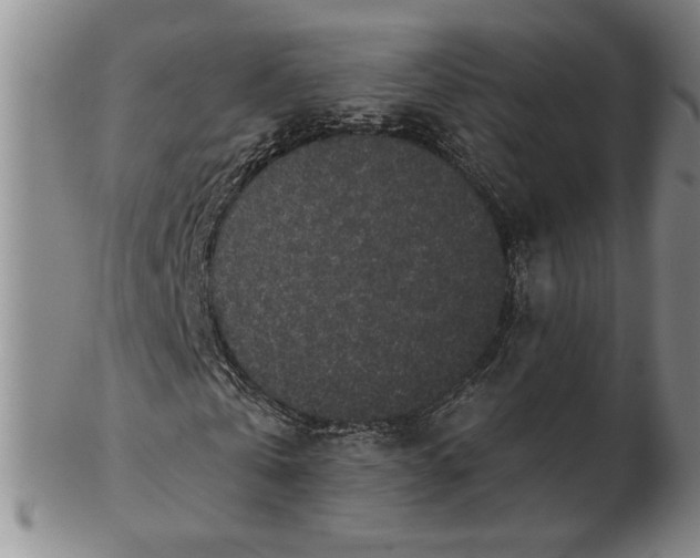 X0000102340769200808221630