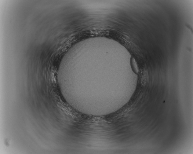 X0000102340770200808221630