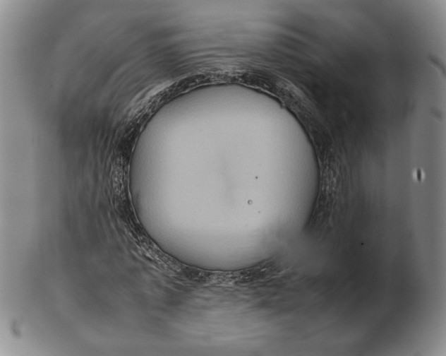 X0000102340773200808221630