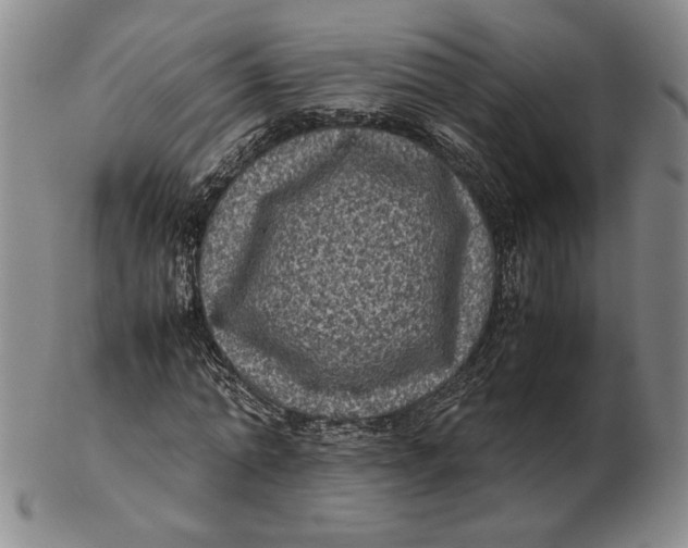 X0000102340774200808221630