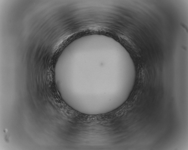 X0000102340776200808221630