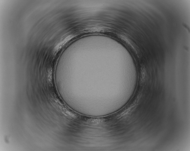 X0000102340778200808221630