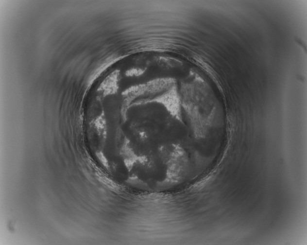 X0000102340779200808221630