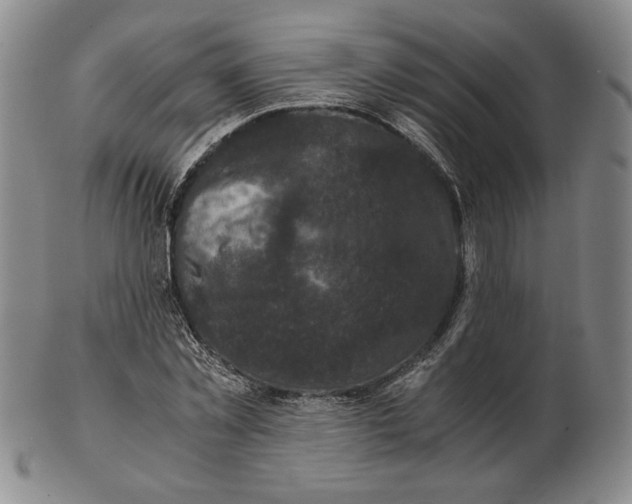 X0000102340781200808221630