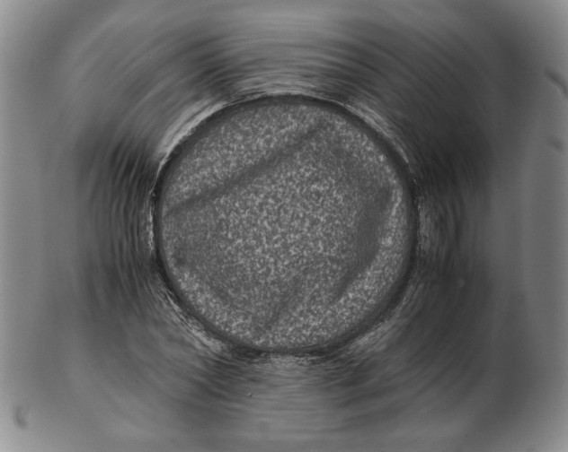 X0000102340782200808221630