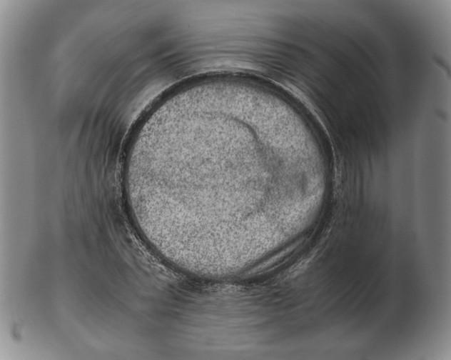 X0000102340783200808221630