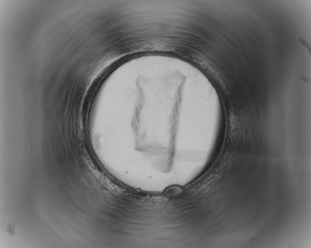 X0000102340784200808221630