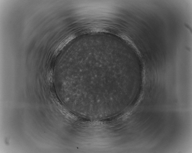 X0000102340785200808221630