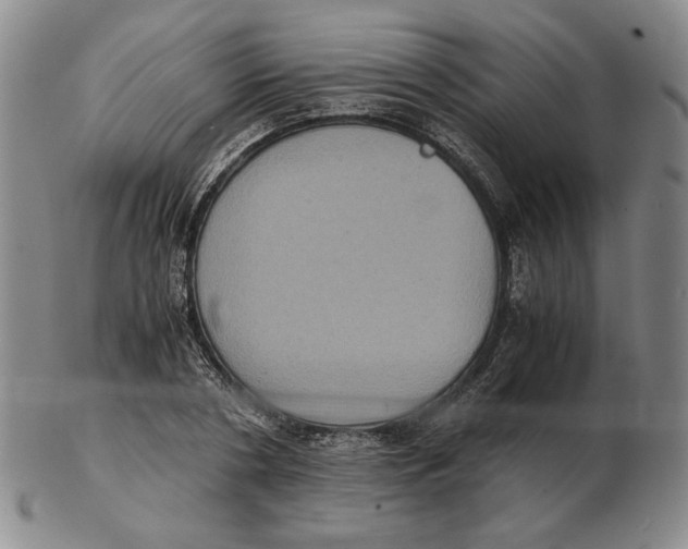 X0000102340786200808221630