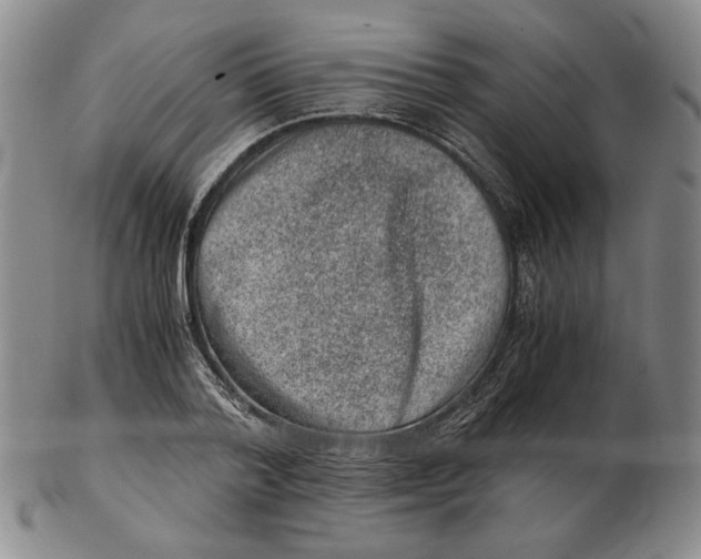 X0000102340788200808221630