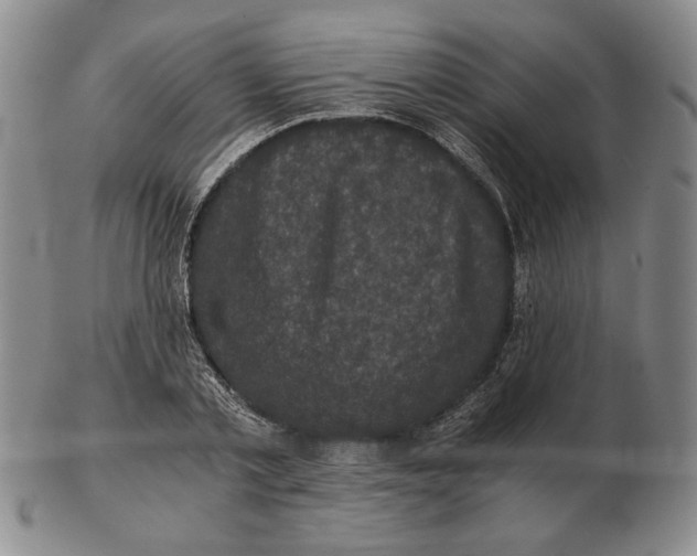 X0000102340789200808221630