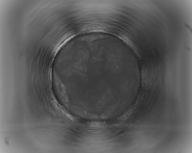 X0000102340790200808221630