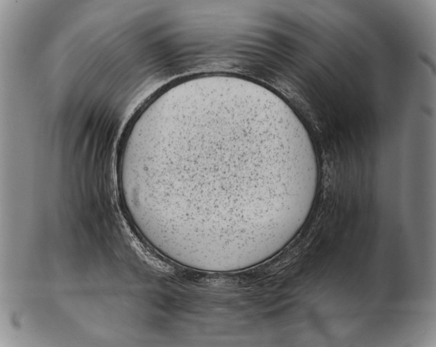 X0000102340792200808221630