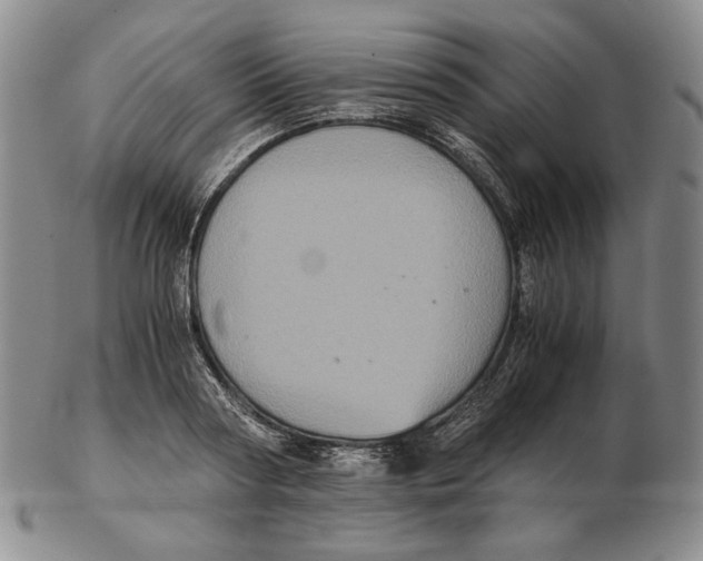 X0000102340794200808221630