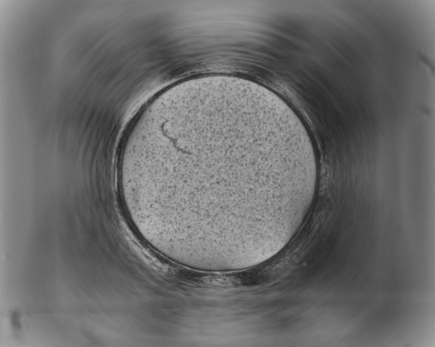 X0000102340795200808221630