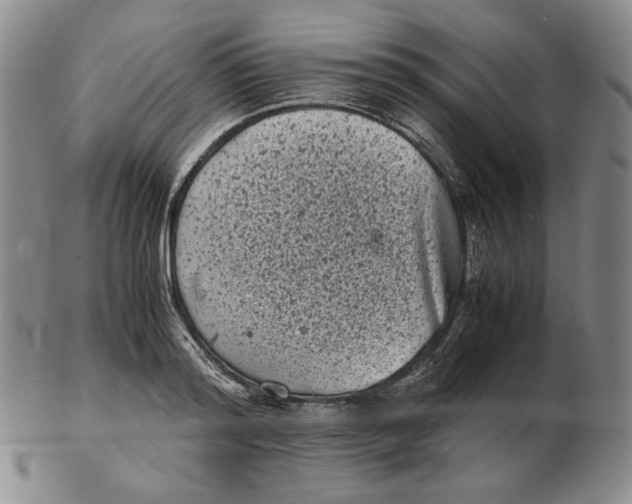 X0000102340796200808221629