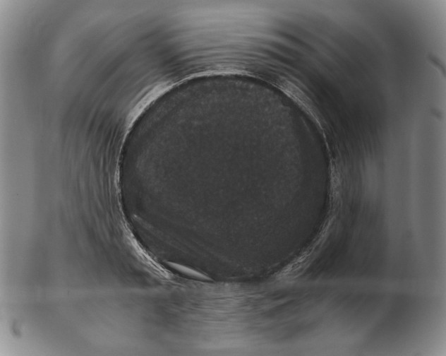 X0000102340797200808221629