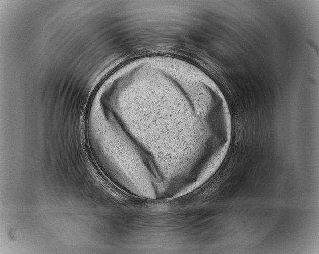 X0000102340798200808221629