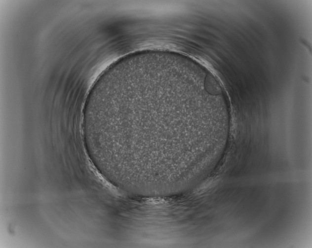 X0000102340799200808221629