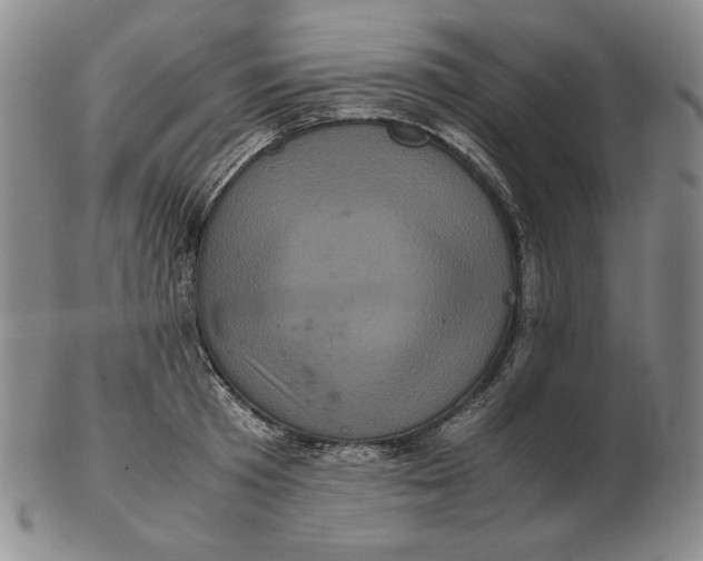 X0000102340801200808221629