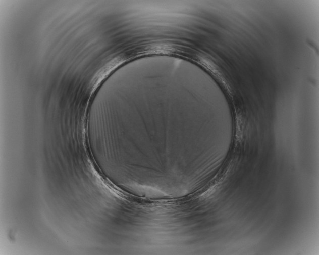 X0000102340802200808221629