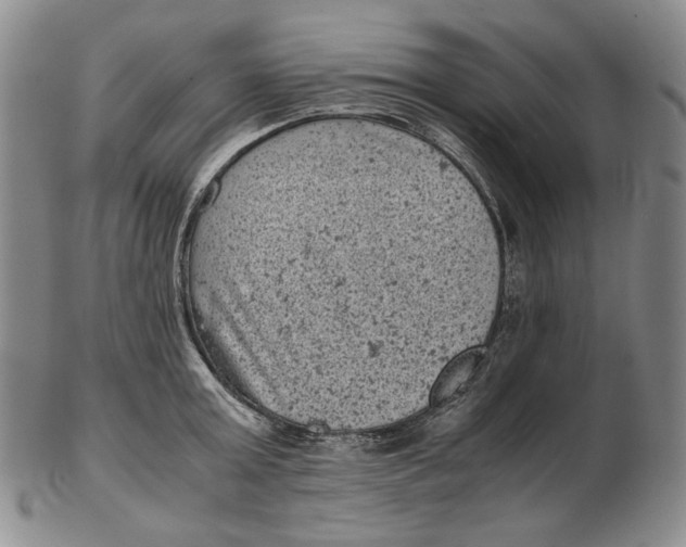 X0000102340803200808221629