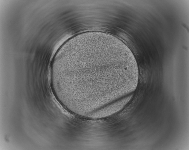 X0000102340804200808221629