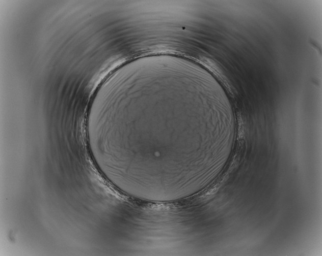 X0000102340806200808221629