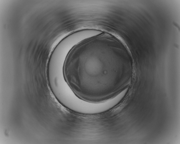 X0000102340807200808221629