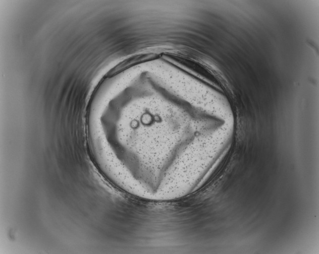 X0000102340808200808221629