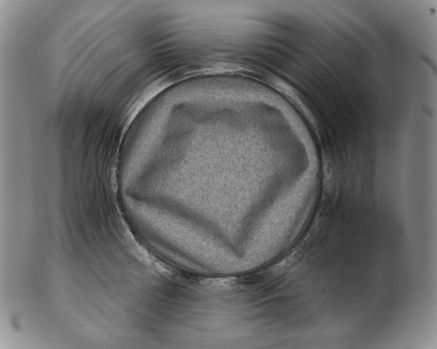 X0000102340810200808221629