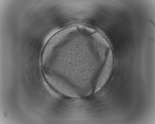 X0000102340811200808221629