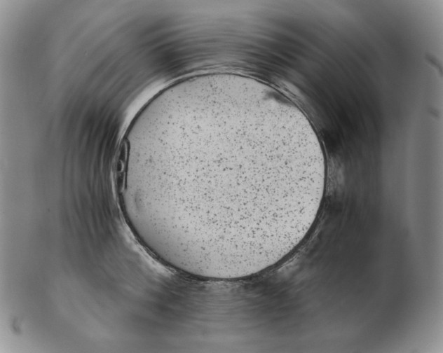 X0000102340812200808221629