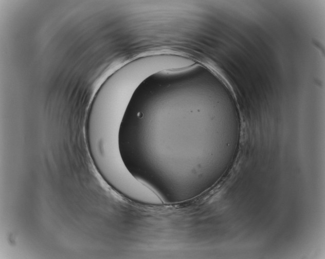 X0000102340813200808221629