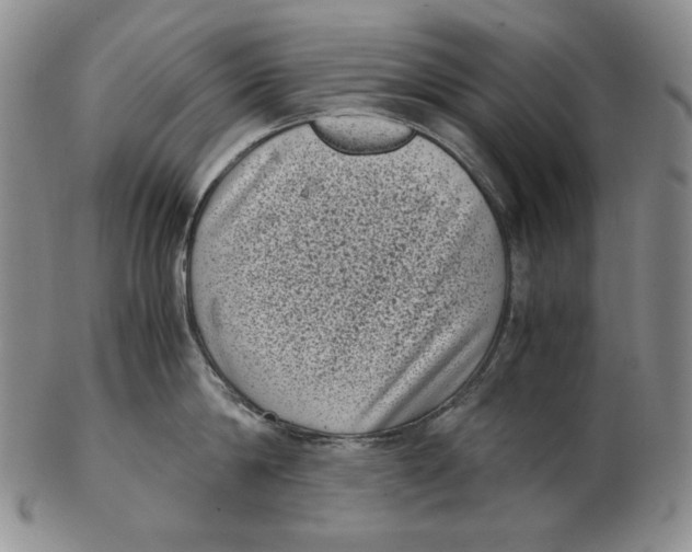 X0000102340814200808221629