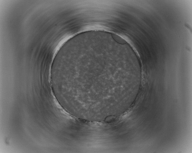 X0000102340815200808221629