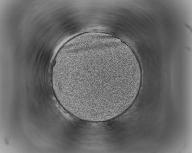 X0000102340816200808221629