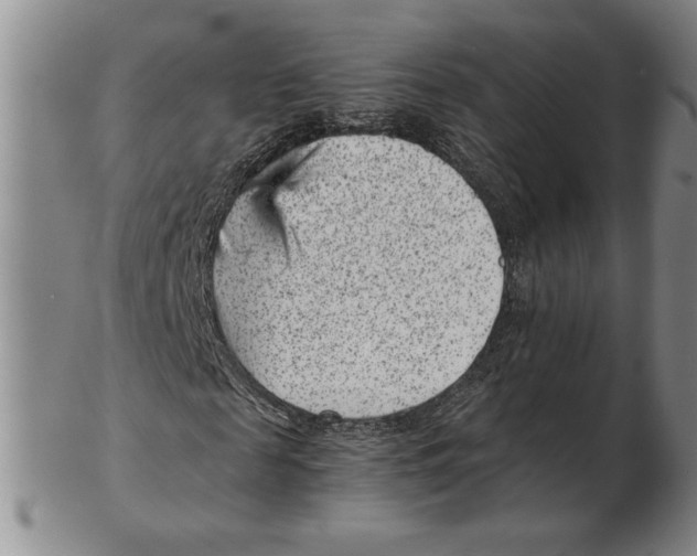 X0000102340817200808221629