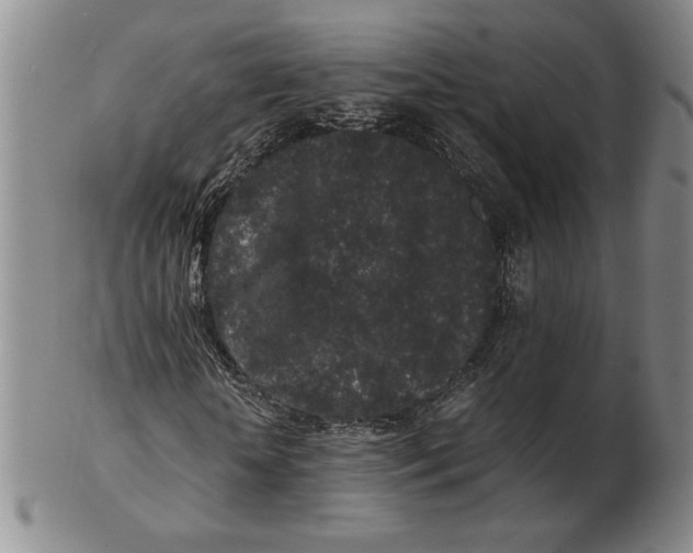 X0000102340818200808221629