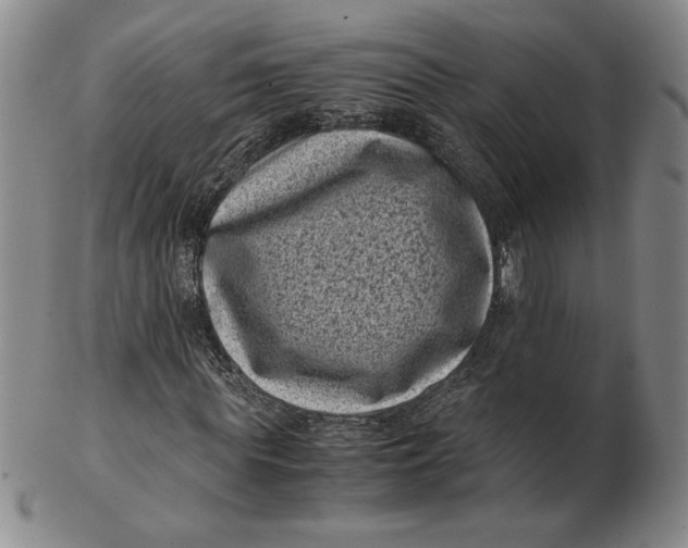 X0000102340819200808221629