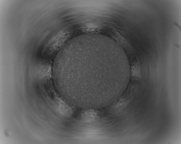 X0000102340820200808221629