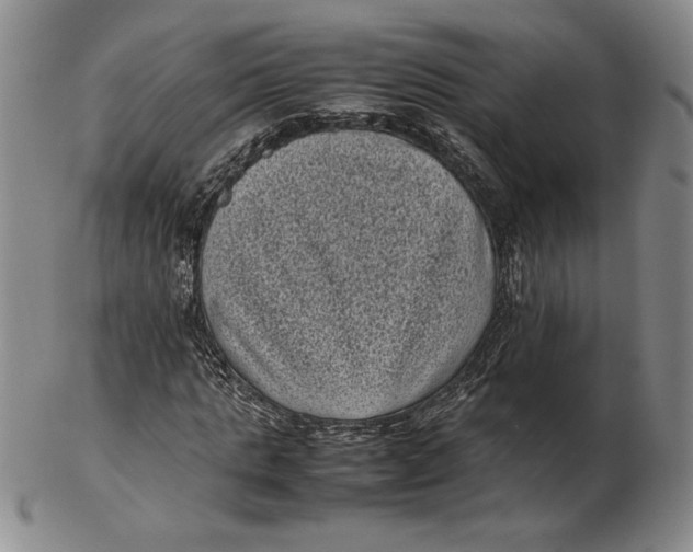 X0000102340821200808221629