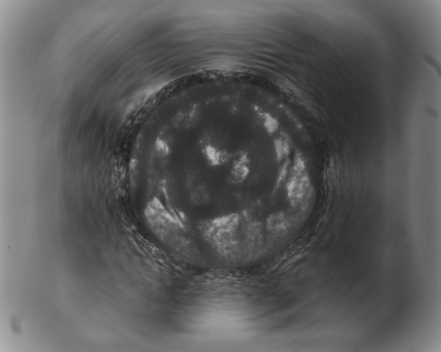 X0000102340822200808221629