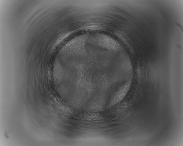 X0000102340823200808221629